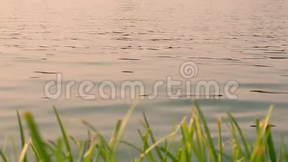 日落时的水面运动视频的预览图