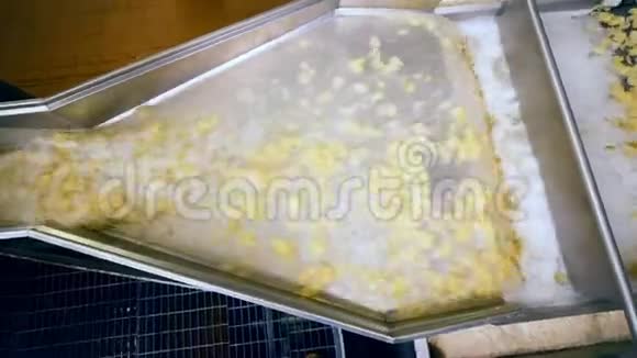 土豆片在泡沫状液体中沿转运体移动的俯视图视频的预览图