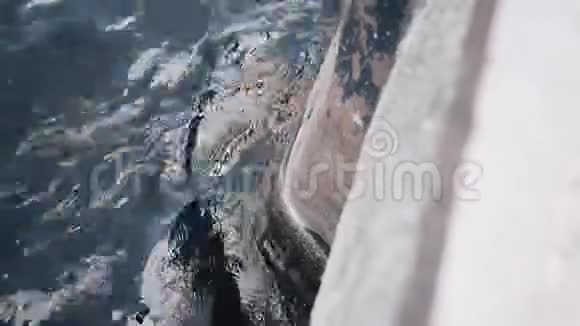 码头上的水正拍打着码头的柱子快关门水上娱乐视频的预览图
