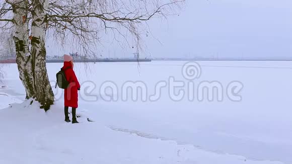 可爱的年轻女子站在白雪覆盖的河岸上的桦树附近看着画报的风景视频的预览图