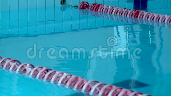 女游泳运动员在游泳池里潜水女游泳运动员潜入游泳池游泳上景视频的预览图