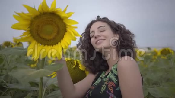 肖像可爱有趣卷曲好玩性感女人看着相机微笑站在向日葵领域明亮明亮视频的预览图