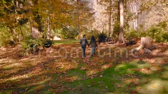 一对相爱的幸福年轻夫妇牵着手走过美丽的秋天森林视频的预览图