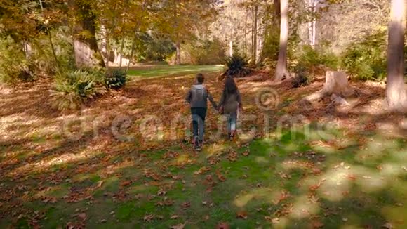 一对相爱的幸福年轻夫妇牵着手走过美丽的秋天森林视频的预览图