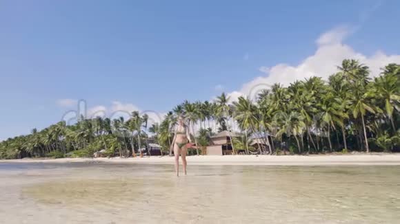 穿比基尼的快乐年轻女人在海滩上的潮湿沙滩上奔跑迷人的女孩在夏日海滩享受阳光视频的预览图