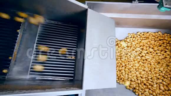 马铃薯块茎落入容器的俯视图视频的预览图