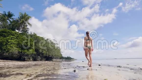 年轻女子穿着比基尼在潮湿的沙滩上漫步在的海滩上棕榈树的景色穿着泳装的美女视频的预览图