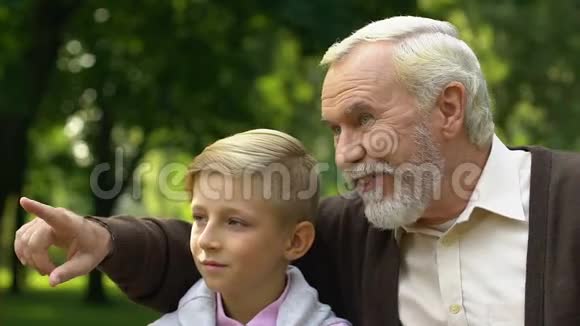 爷爷带孙子去公园看东西一起享受自由时光视频的预览图