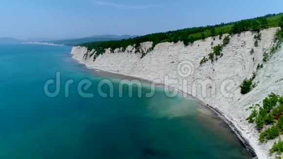 黑海滩和海滩上高高的白色悬崖松树视频的预览图