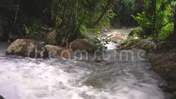 热带雨林和带岩石河的神奇景色视频的预览图