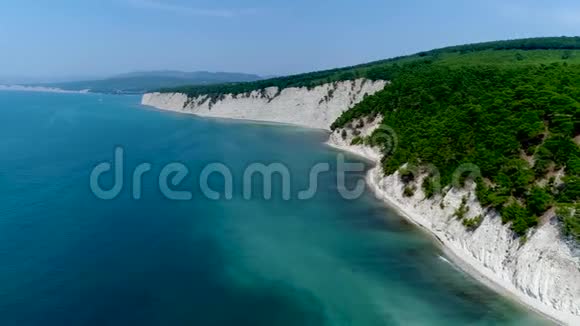 黑海滩和海滩上高高的白色悬崖松树视频的预览图
