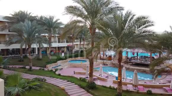 埃及美丽的酒店有棕榈和水潭视频的预览图