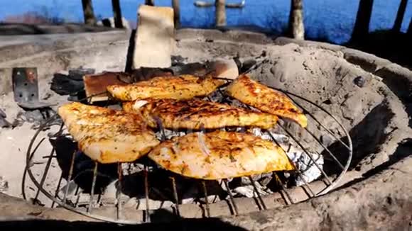 在4K湖畔的一个阳光明媚的日子里用木炭加热的混凝土烤箱烤鸡视频的预览图