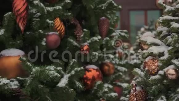 俄罗斯莫斯科12月6日红色圣诞球挂在莫斯科郊外的杉树上视频的预览图