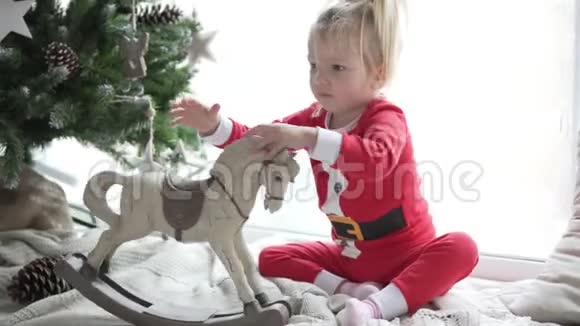 一棵优雅的圣诞树站在窗边视频的预览图