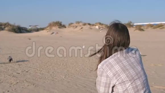 一位妇女正在沙丘沙滩上喂鸟鸥和乌鸦视频的预览图