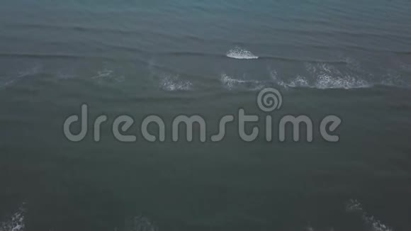 大型海滩和蓝海散步的人与狗捕捉视频与无人机从空中视频的预览图