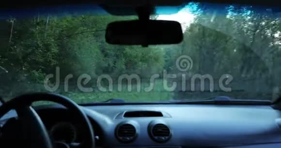 司机驾驶汽车穿过树林摄像机拍摄到汽车内部视频的预览图