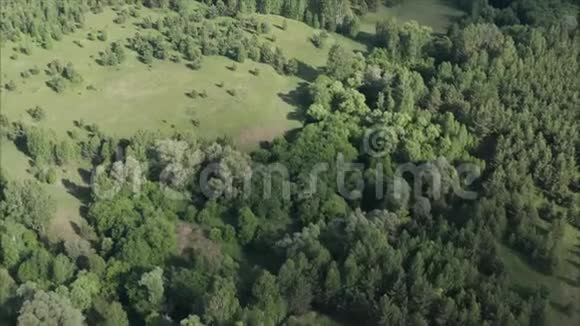 俄罗斯森林草原带从无人机上移除乡村景观夏天俄罗斯森林和农田视频的预览图