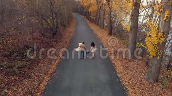 秋天一家人带着小宝宝空中漫步公园视频的预览图