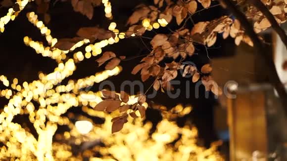 日本圣诞夜照明树浪漫景观视频的预览图