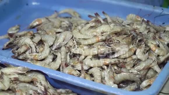 鱼市场上出售的虾视频的预览图