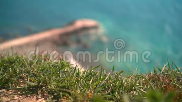 在前景有绿草在背景有一个荒凉的岩石海滩与码头上的波浪视频的预览图