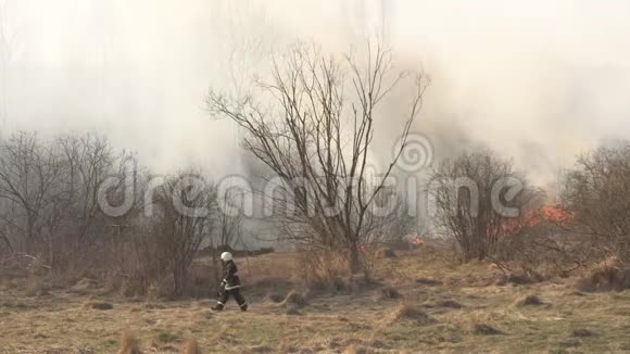 消防人员在火灾春季火灾危险和大量烟雾中扑灭干草和燃烧的森林视频的预览图