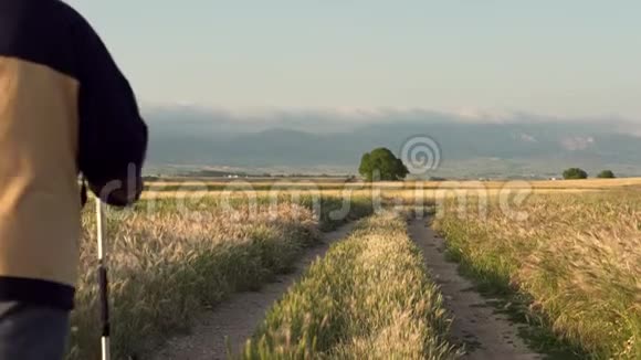 在西班牙圣地亚哥卡米诺的著名朝圣路线上行走的老年朝圣者视频的预览图