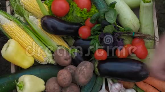生物食品花园生产和收获的蔬菜新鲜农场蔬菜木箱视频的预览图