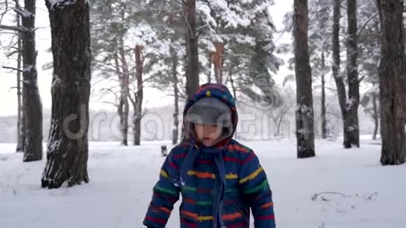 冬天一个小快乐的孩子跑过去在白雪覆盖的树上迎接摄像机家庭户外的概念视频的预览图