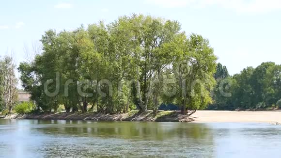 卢瓦尔河的树木视频的预览图