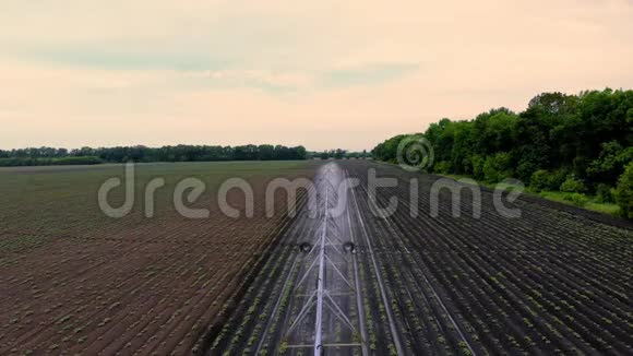 从上面的航空景观土豆生长在田间由一个特殊的浇水枢轴洒水系统灌溉水很小视频的预览图