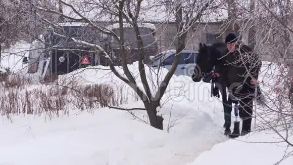 冬天一个年轻的残疾人牵着一匹黑色的纯种马他有假肢而不是右腿他在学习视频的预览图