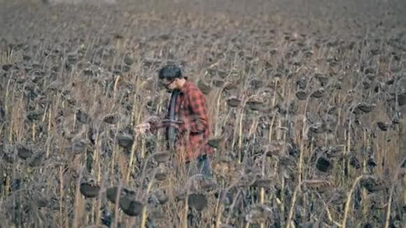 一个人用失败的庄稼检查田地全球变暖的概念视频的预览图