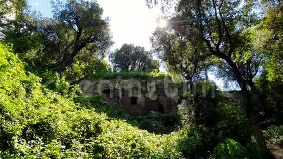 意大利蒂沃利野生动物园的古遗址视频的预览图
