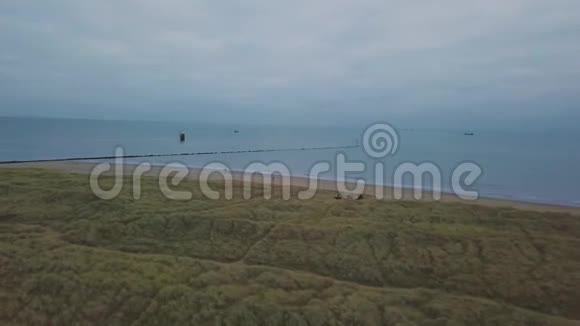 无人机视频捕捉从顶部海边与一个绿色的田野三个人骑着一匹马旁边的海滩视频的预览图