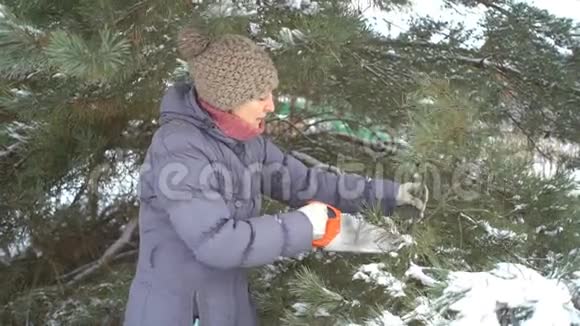 可爱的白种人女人在冬天的雪园里用锯子剪松枝祝圣诞快乐新年快乐视频的预览图