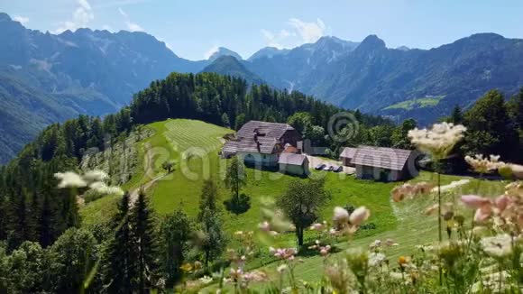 山区景观斯洛文尼亚阿尔卑斯山有农场和盛开的草地视频的预览图