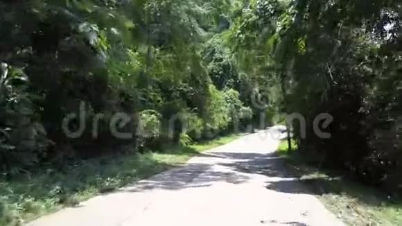 丛林道路树影靠近红白绿色标志视频的预览图