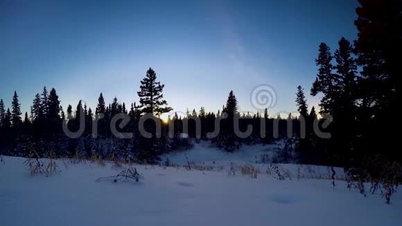 落在雪林中的日落视频的预览图