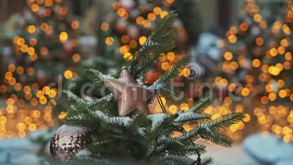 莫斯科俄罗斯12月6日米色塑料圣诞星在杉树盘上拍摄Bokeh对背景的影响视频的预览图