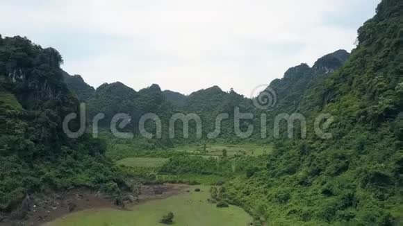 上景大山环绕着绿色的田野和森林视频的预览图