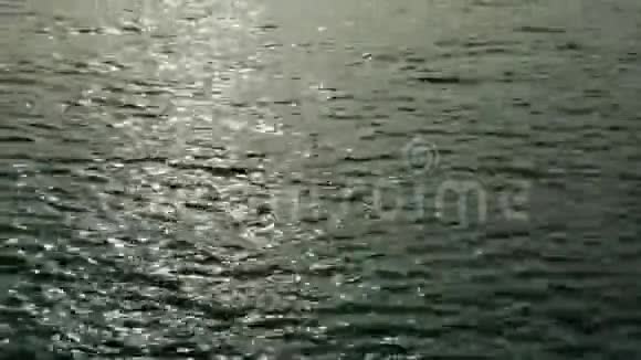 黎明前海水泛起涟漪视频的预览图
