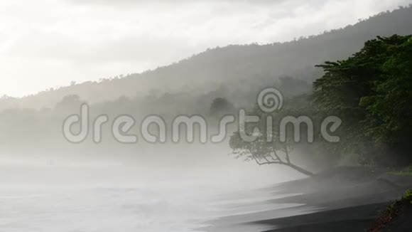 清晨薄雾中的沙滩曼谷国家公园的黑沙火山海滩视频的预览图