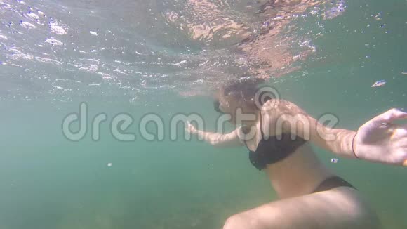 女孩潜入海里海中有一只水母在日本海上鱼视频的预览图