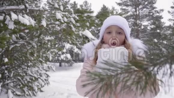 女孩子在冬天的时候在针叶林里吹雪视频的预览图