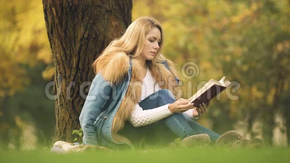 美丽的女人在秋天的森林里坐在树下阅读畅销书视频的预览图