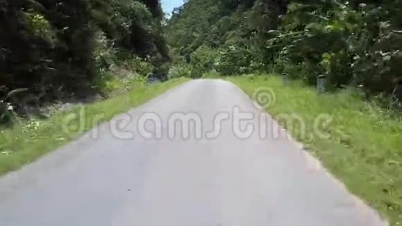 丛林之路在绿树旁转弯树叶巨大视频的预览图