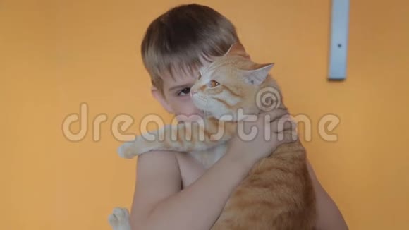 小男孩捡起一只猫和他玩笑着在他脸上做滑稽的鬼脸视频的预览图
